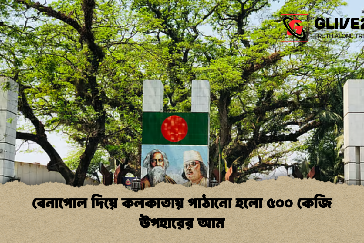 বেনাপোল দিয়ে কলকাতায় পাঠানো হলো ৫০০ কেজি উপহারের আম