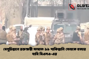 বেলুচিস্তানে রক্তক্ষয়ী সংঘাত: ১৯ পাকিস্তানি সেনাকে হত্যার দাবি বিএলএ-এর