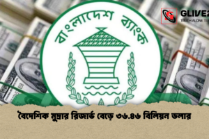 বৈদেশিক মুদ্রার রিজার্ভ বেড়ে ৩৬.৪৬ বিলিয়ন ডলার