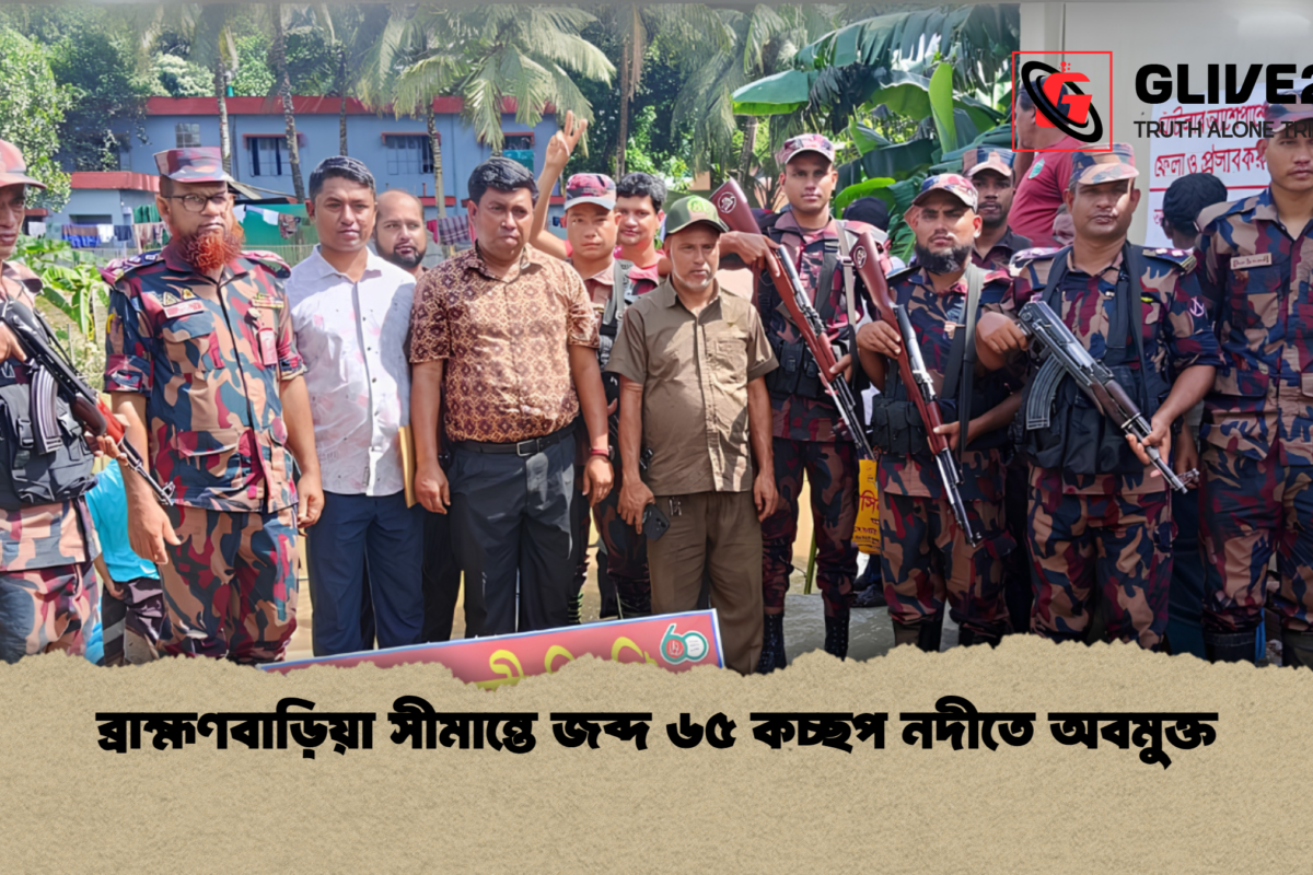 ব্রাহ্মণবাড়িয়া সীমান্তে জব্দ ৬৫ কচ্ছপ নদীতে অবমুক্ত