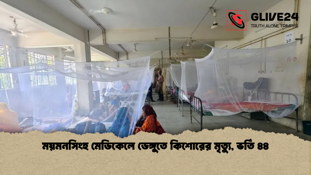 ময়মনসিংহ মেডিকেলে ডেঙ্গুতে কিশোরের মৃত্যু ভর্তি ৪৪ ময়মনসিংহ মেডিকেলে ডেঙ্গুতে কিশোরের মৃত্যু, ভর্তি ৪৪