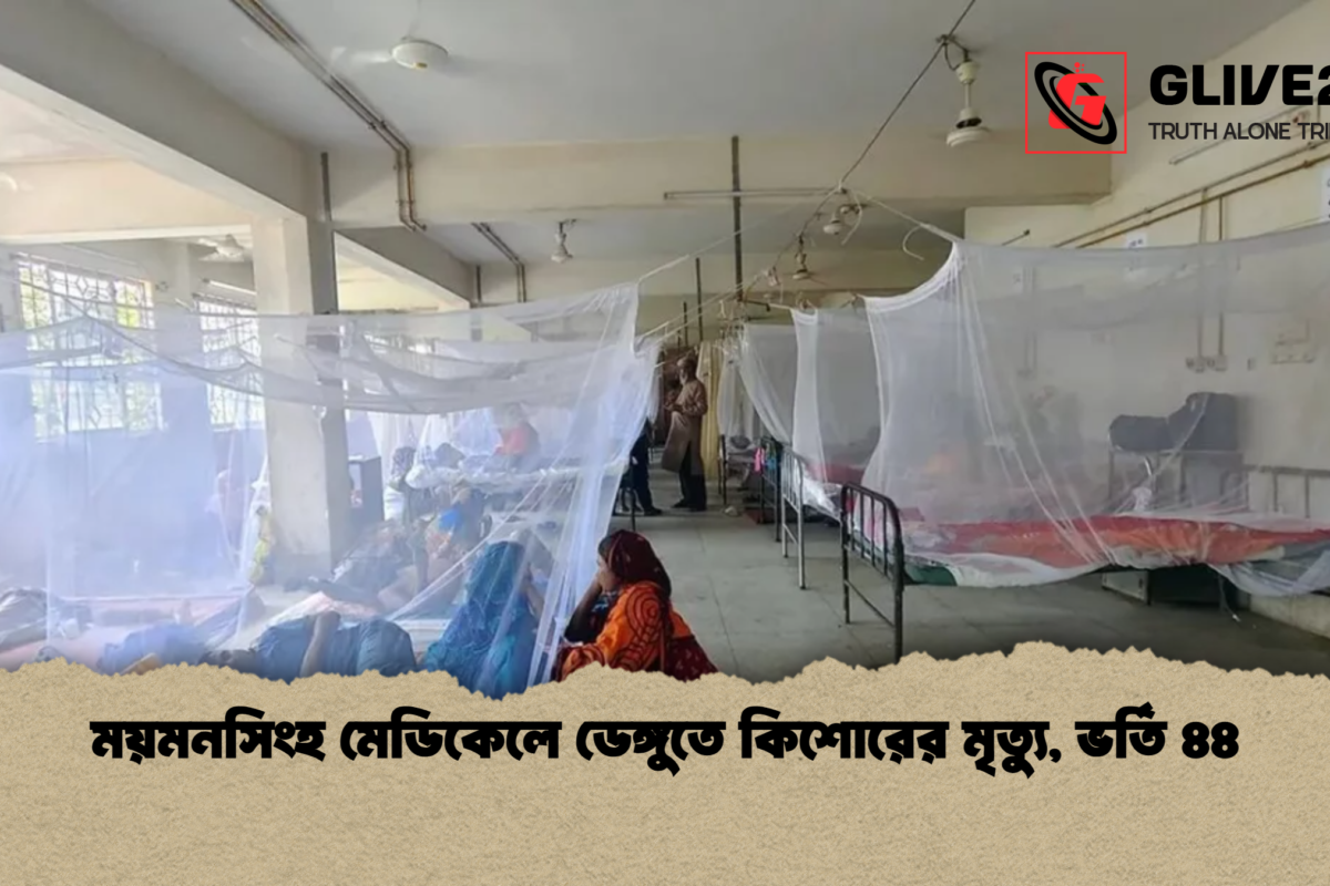 ময়মনসিংহ মেডিকেলে ডেঙ্গুতে কিশোরের মৃত্যু, ভর্তি ৪৪
