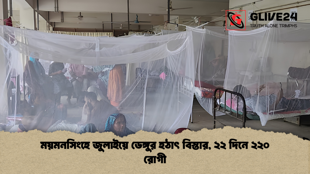 ময়মনসিংহে জুলাইয়ে ডেঙ্গুর হঠাৎ বিস্তার ২২ দিনে ২২০ রোগী 1 ময়মনসিংহে জুলাইয়ে ডেঙ্গুর হঠাৎ বিস্তার, ২২ দিনে ২২০ রোগী