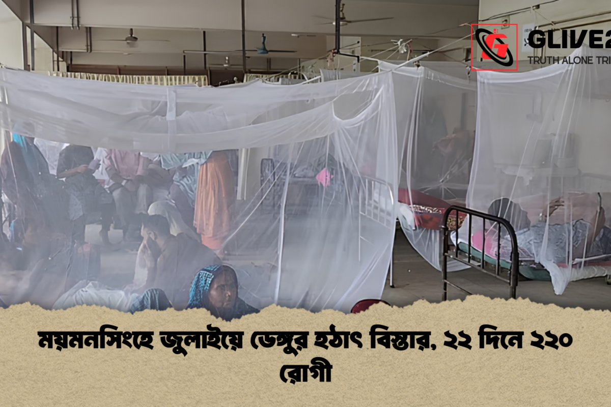 ময়মনসিংহে জুলাইয়ে ডেঙ্গুর হঠাৎ বিস্তার, ২২ দিনে ২২০ রোগী