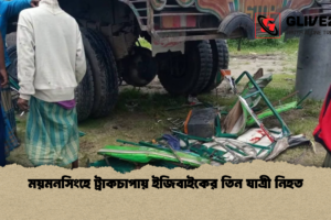 ময়মনসিংহে ট্রাকচাপায় ইজিবাইকের তিন যাত্রী নিহত