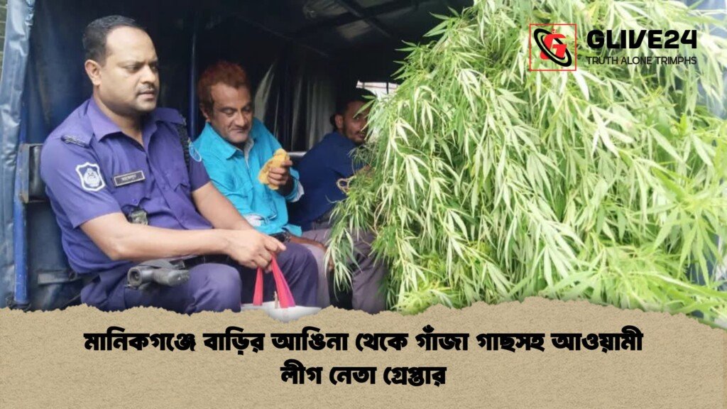 মানিকগঞ্জে বাড়ির আঙিনা থেকে গাঁজা গাছসহ আওয়ামী লীগ নেতা গ্রেপ্তার 3 মানিকগঞ্জে বাড়ির আঙিনা থেকে গাঁজা গাছসহ আওয়ামী লীগ নেতা গ্রেপ্তার মানিকগঞ্জে বাড়ির আঙিনা থেকে গাঁজা গাছসহ আওয়ামী লীগ নেতা গ্রেপ্তার