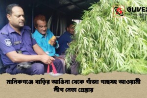 মানিকগঞ্জে বাড়ির আঙিনা থেকে গাঁজা গাছসহ আওয়ামী লীগ নেতা গ্রেপ্তার