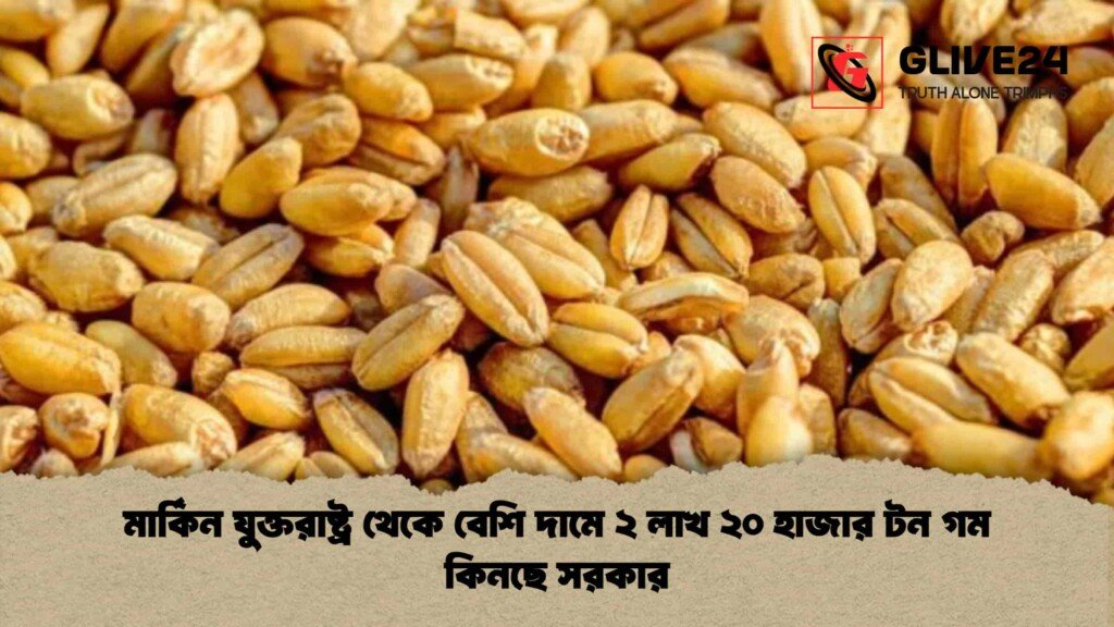 মার্কিন যুক্তরাষ্ট্র থেকে বেশি দামে ২ লাখ ২০ হাজার টন গম কিনছে সরকার