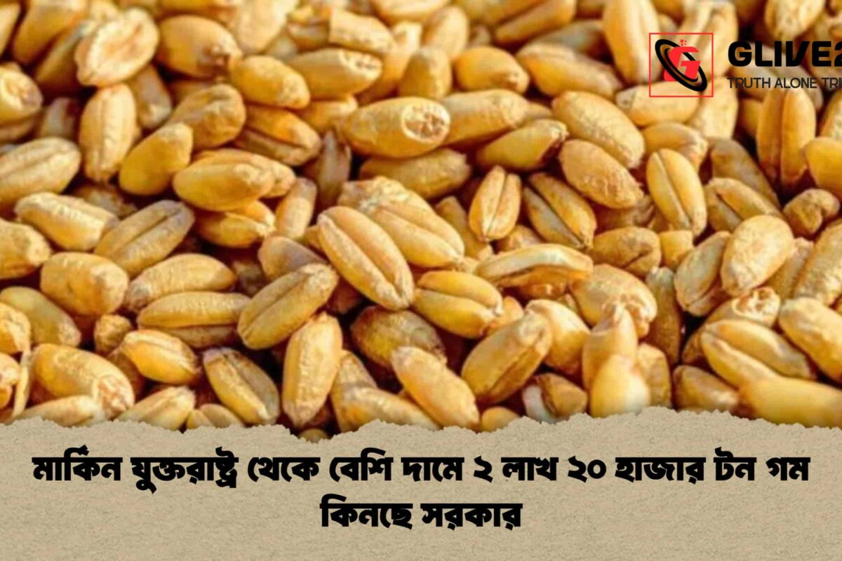 মার্কিন যুক্তরাষ্ট্র থেকে বেশি দামে ২ লাখ ২০ হাজার টন গম কিনছে সরকার