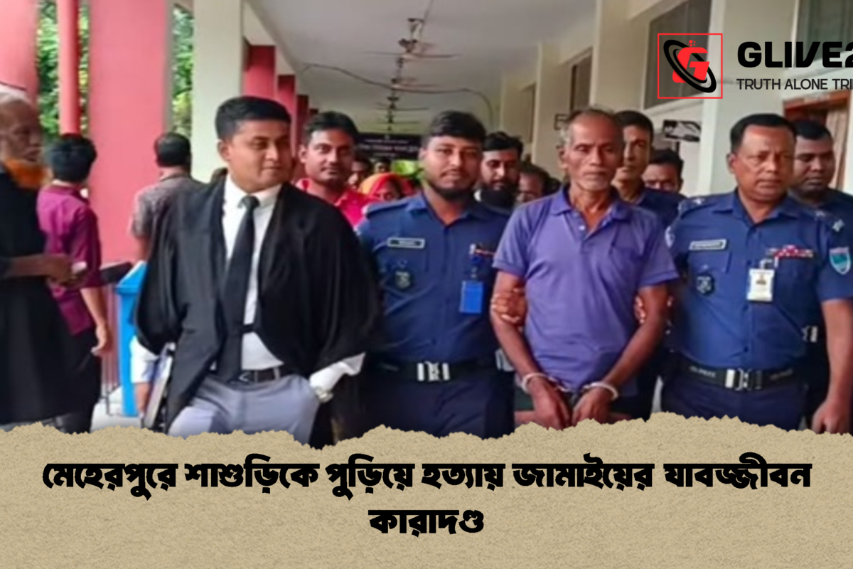 মেহেরপুরে শাশুড়িকে পুড়িয়ে হত্যায় জামাইয়ের যাবজ্জীবন কারাদণ্ড