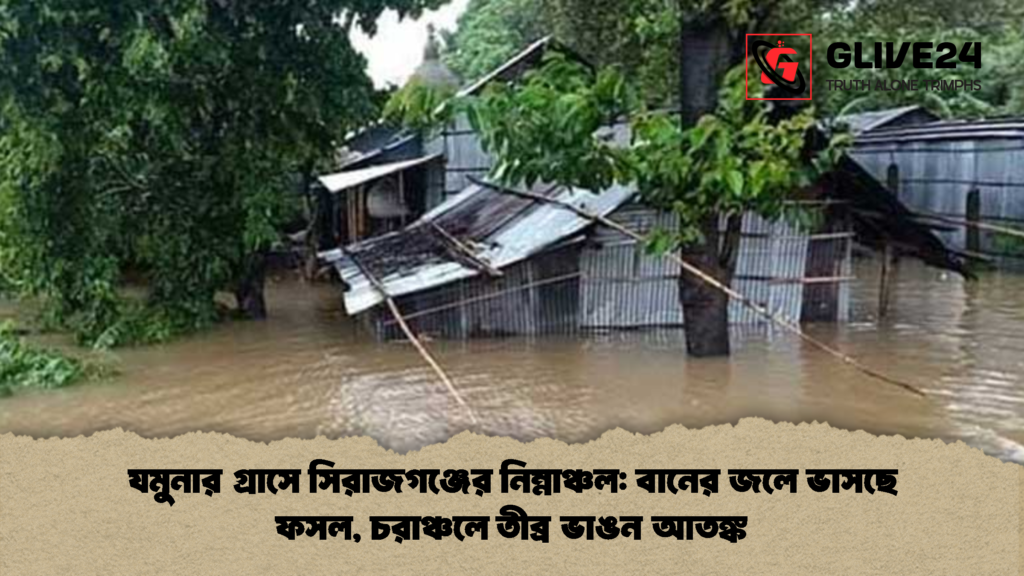 যমুনার গ্রাসে সিরাজগঞ্জের নিম্নাঞ্চল বানের জলে ভাসছে ফসল চরাঞ্চলে তীব্র ভাঙন আতঙ্ক 2 যমুনার গ্রাসে সিরাজগঞ্জের নিম্নাঞ্চল: বানের জলে ভাসছে ফসল, চরাঞ্চলে তীব্র ভাঙন আতঙ্ক