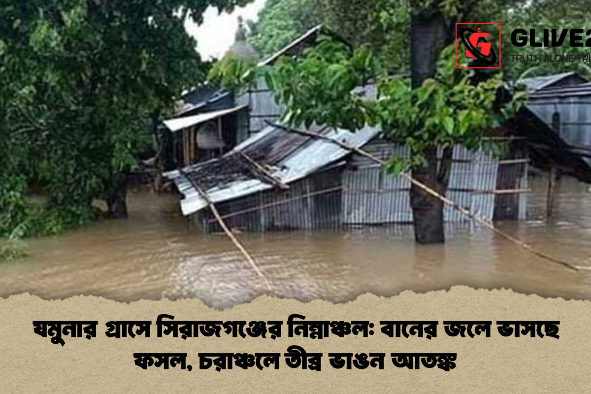 যমুনার গ্রাসে সিরাজগঞ্জের নিম্নাঞ্চল: বানের জলে ভাসছে ফসল, চরাঞ্চলে তীব্র ভাঙন আতঙ্ক