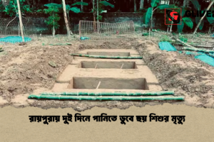 রায়পুরায় দুই দিনে পানিতে ডুবে ছয় শিশুর মৃত্যু