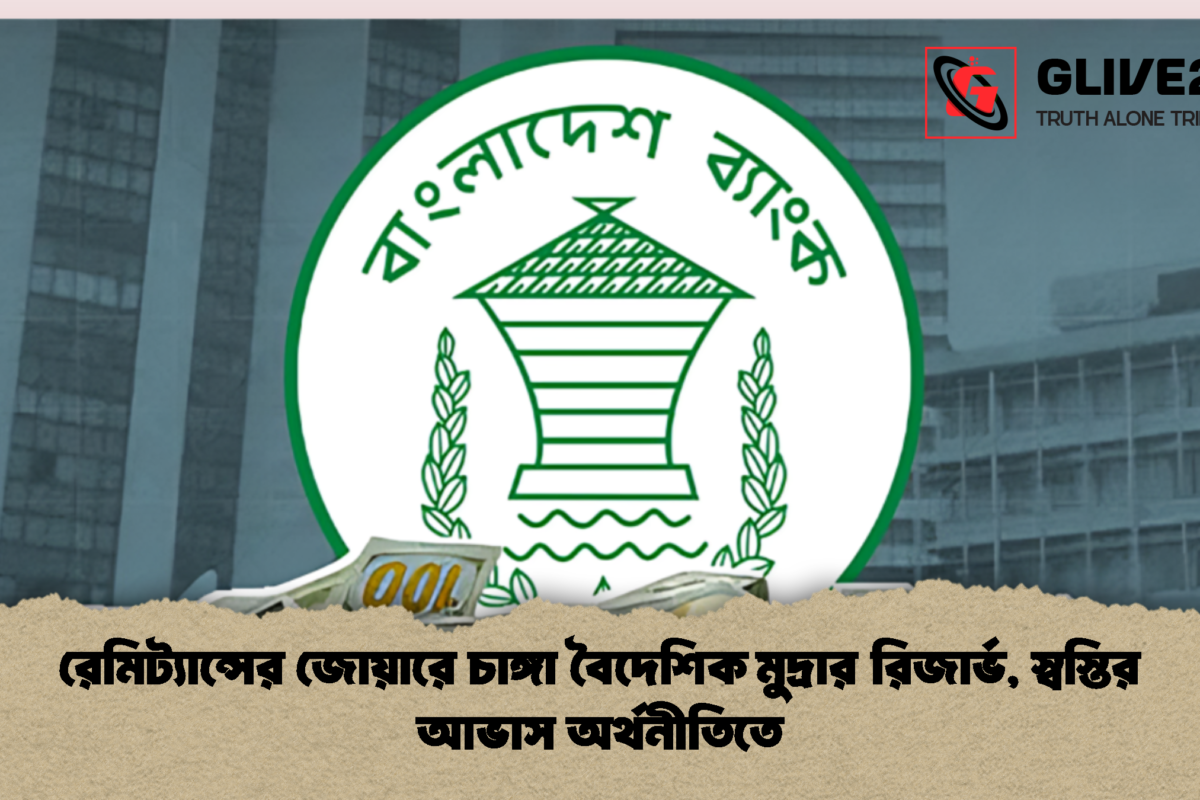 রেমিট্যান্সের জোয়ারে চাঙ্গা বৈদেশিক মুদ্রার রিজার্ভ, স্বস্তির আভাস অর্থনীতিতে