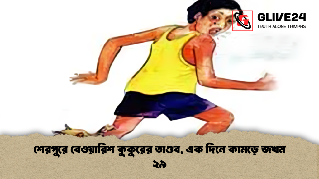 শেরপুরে বেওয়ারিশ কুকুরের তাণ্ডব এক দিনে কামড়ে জখম ২৯ 2 শেরপুরে বেওয়ারিশ কুকুরের তাণ্ডব, এক দিনে কামড়ে জখম ২৯