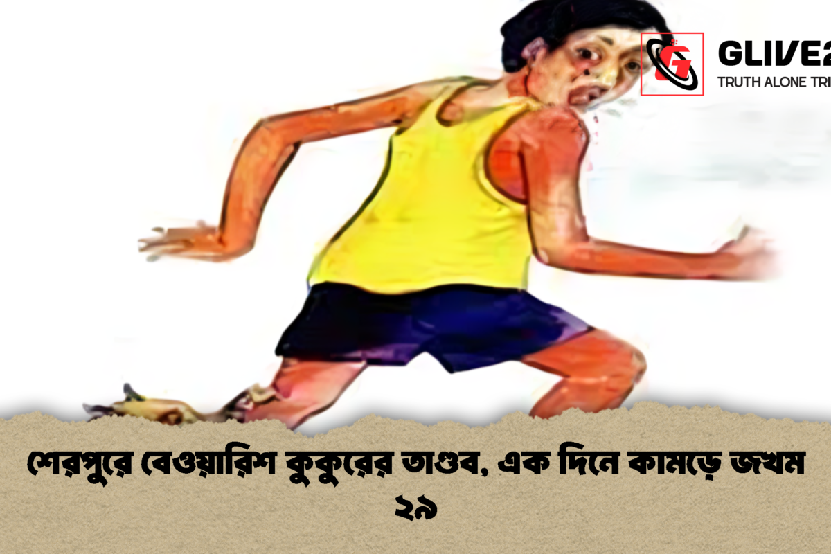 শেরপুরে বেওয়ারিশ কুকুরের তাণ্ডব, এক দিনে কামড়ে জখম ২৯