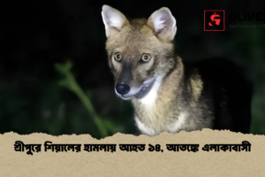 শ্রীপুরে শিয়ালের হামলায় আহত ১৪, আতঙ্কে এলাকাবাসী