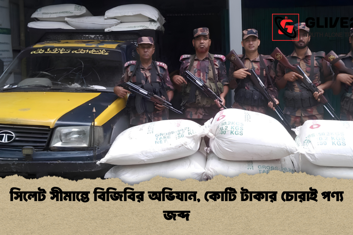সিলেট সীমান্তে বিজিবির অভিযান, কোটি টাকার চোরাই পণ্য জব্দ
