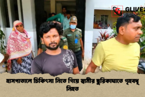 হাসপাতালে চিকিৎসা নিতে গিয়ে স্বামীর ছুরিকাঘাতে গৃহবধূ নিহত