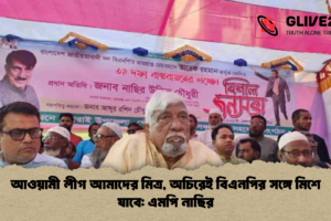 আওয়ামী লীগ আমাদের মিত্র, অচিরেই বিএনপির সঙ্গে মিশে যাবে: এমপি নাছির
