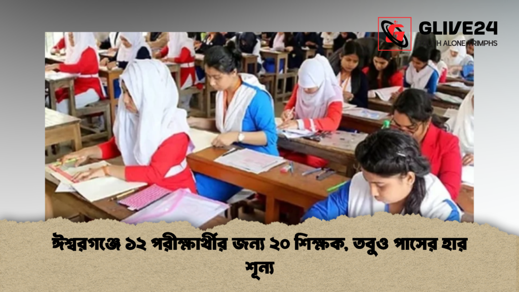 ঈশ্বরগঞ্জে ১২ পরীক্ষার্থীর জন্য ২০ শিক্ষক তবুও পাসের হার শূন্য 2 ঈশ্বরগঞ্জে ১২ পরীক্ষার্থীর জন্য ২০ শিক্ষক, তবুও পাসের হার শূন্য