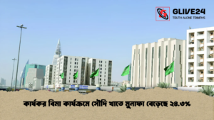 কার্যকর বিমা কার্যক্রমে সৌদি খাতে মুনাফা বেড়েছে ২৪.৩%