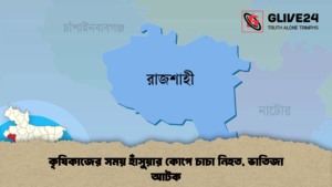 কৃষিকাজের সময় হাঁসুয়ার কোপে চাচা নিহত ভাতিজা আটক 1 কৃষিকাজের সময় হাঁসুয়ার কোপে চাচা নিহত, ভাতিজা আটক