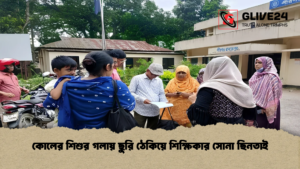কোলের শিশুর গলায় ছুরি ঠেকিয়ে শিক্ষিকার সোনা ছিনতাই