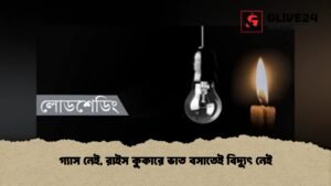 গ্যাস নেই, রাইস কুকারে ভাত বসাতেই বিদ্যুৎ নেই