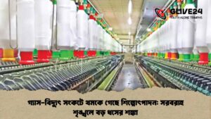 গ্যাস-বিদ্যুৎ সংকটে থমকে গেছে শিল্পোৎপাদন সরবরাহ শৃঙ্খলে বড় ধসের শঙ্কা