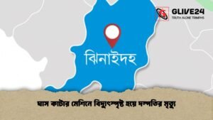 ঘাস কাটার মেশিনে বিদ্যুৎস্পৃষ্ট হয়ে দম্পতির মৃত্যু