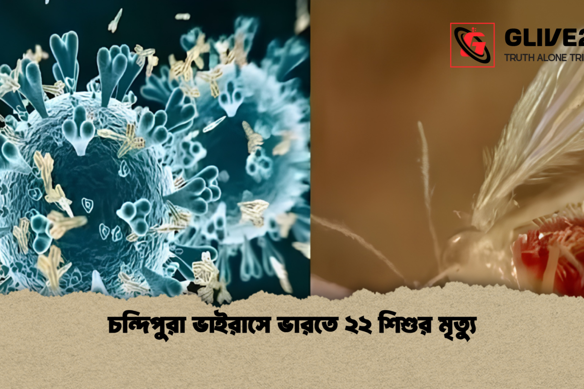 চন্দিপুরা ভাইরাসে ভারতে ২২ শিশুর মৃত্যু