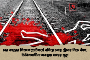 চার বছরের শিশুকে প্ল্যাটফর্মে বসিয়ে চলন্ত ট্রেনের নিচে ঝাঁপ, চিকিৎসাধীন অবস্থায় মায়ের মৃত্যু