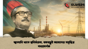 জ্বালানি খাতে স্বনির্ভরতা, বঙ্গবন্ধুই আমাদের সমৃদ্ধির পথপ্রদর্শক