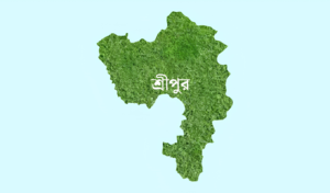 ঝগড়া মেটাতে গিয়ে জামাইয়ের লাঠির আঘাতে শ্বশুর নিহত
