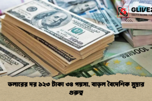 ডলারের দর ১২৩ টাকা ৩৪ পয়সা, বাড়ল বৈদেশিক মুদ্রার গুরুত্ব