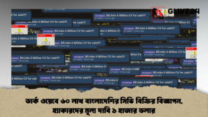 ডার্ক ওয়েবে ৬০ লাখ বাংলাদেশির সিভি বিক্রির বিজ্ঞাপন, হ্যাকারদের মূল্য দাবি ১ হাজার ডলার (2)