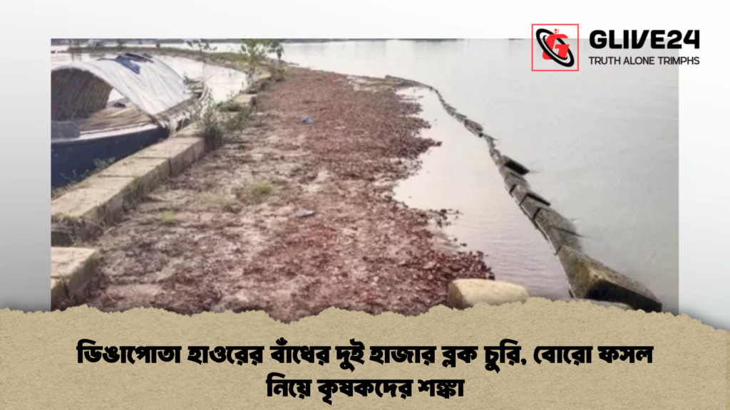 ডিঙাপোতা হাওরের বাঁধের দুই হাজার ব্লক চুরি, বোরো ফসল নিয়ে কৃষকদের শঙ্কা 3 ডিঙাপোতা হাওরের বাঁধের দুই হাজার ব্লক চুরি, বোরো ফসল নিয়ে কৃষকদের শঙ্কা (2)