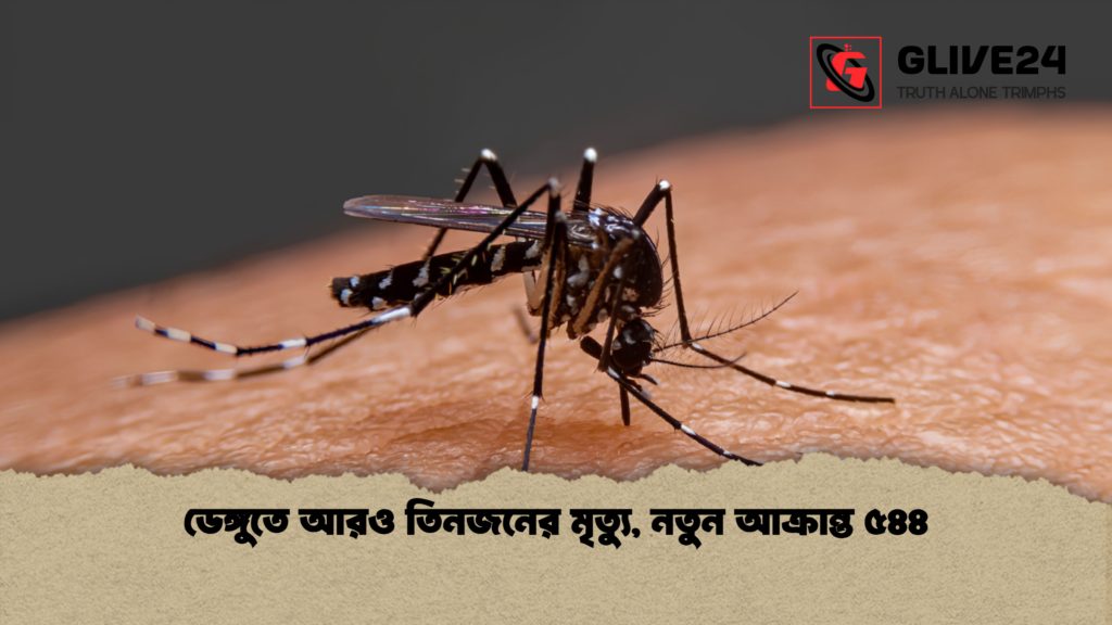 ডেঙ্গুতে আরও তিনজনের মৃত্যু নতুন আক্রান্ত ৫৪৪ 1 ডেঙ্গুতে আরও তিনজনের মৃত্যু, নতুন আক্রান্ত ৫৪৪