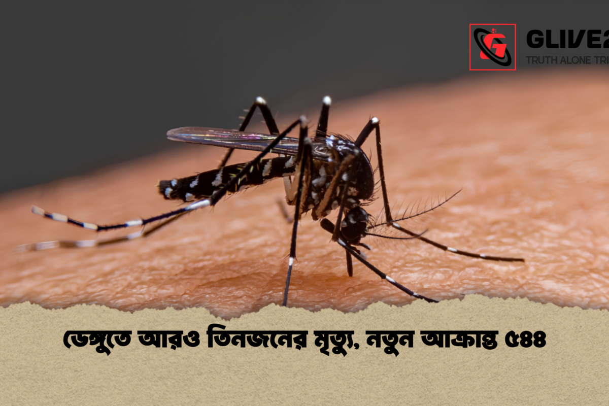 ডেঙ্গুতে আরও তিনজনের মৃত্যু, নতুন আক্রান্ত ৫৪৪