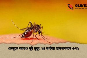 ডেঙ্গুতে আরও দুই মৃত্যু, ২৪ ঘণ্টায় হাসপাতালে ৬৭২