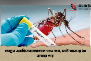 ডেঙ্গুতে একদিনে হাসপাতালে ৭৫৬ জন, মোট আক্রান্ত ২০ হাজার পার