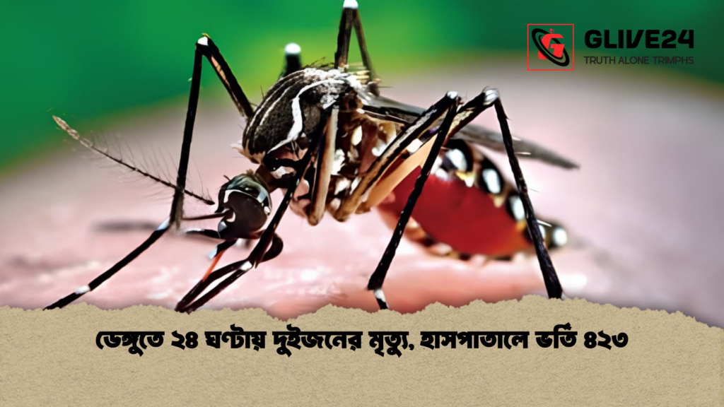 ডেঙ্গুতে ২৪ ঘণ্টায় দুইজনের মৃত্যু হাসপাতালে ভর্তি ৪২৩ ডেঙ্গুতে ২৪ ঘণ্টায় দুইজনের মৃত্যু, হাসপাতালে ভর্তি ৪২৩