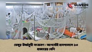 ডেঙ্গুর ঊর্ধ্বমুখী সংক্রমণ আগস্টেই হাসপাতালে ১৩ হাজারের বেশি