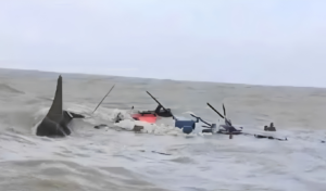 বঙ্গোপসাগরে ট্রলারডুবি নিখোঁজ পাঁচ জেলের মরদেহ উদ্ধার