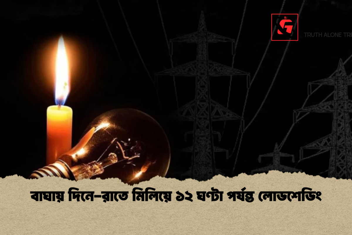 বাঘায় দিনে-রাতে মিলিয়ে ১২ ঘণ্টা পর্যন্ত লোডশেডিং