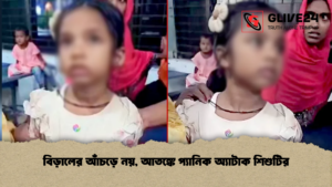 বিড়ালের আঁচড়ে নয় আতঙ্কে প্যানিক অ্যাটাক শিশুটির বিড়ালের আঁচড়ে নয়, আতঙ্কে প্যানিক অ্যাটাক শিশুটির