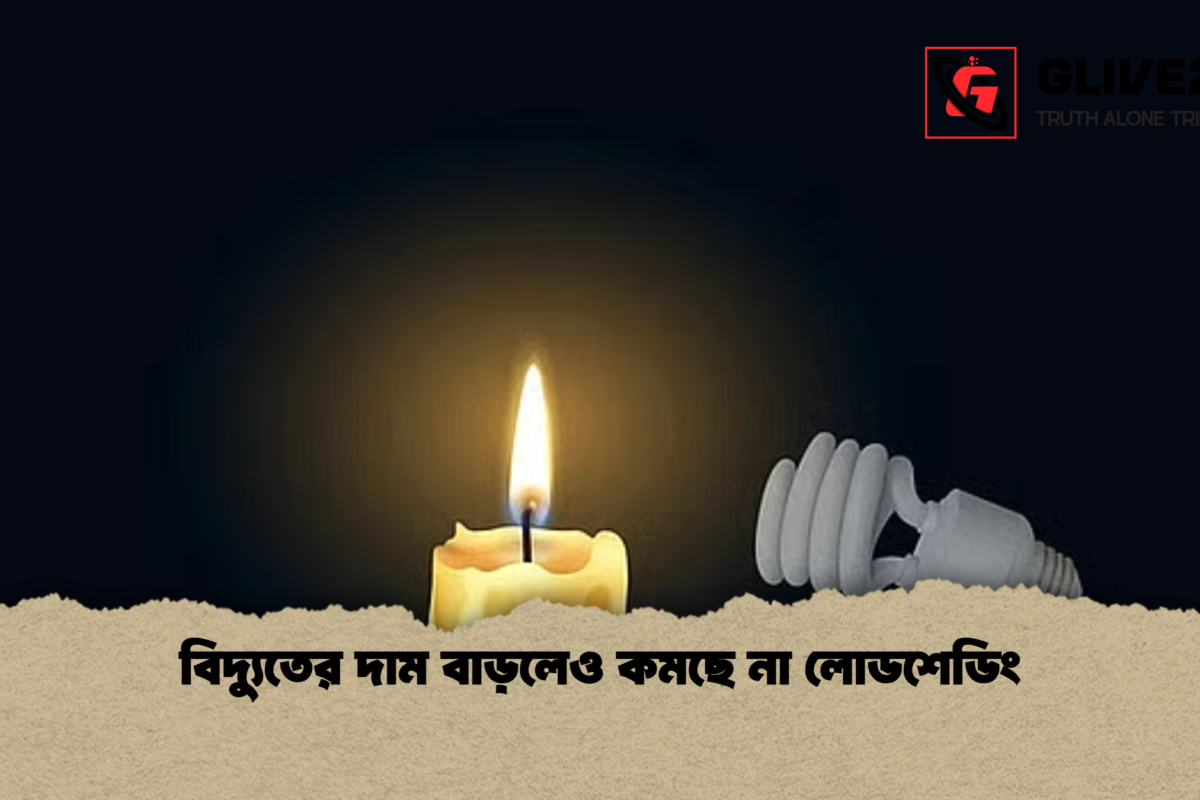বিদ্যুতের দাম বাড়লেও কমছে না লোডশেডিং