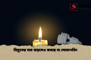 বিদ্যুতের দাম বাড়লেও কমছে না লোডশেডিং