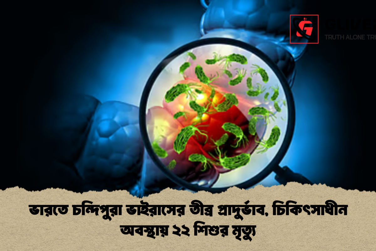 ভারতে চন্দিপুরা ভাইরাসের তীব্র প্রাদুর্ভাব, চিকিৎসাধীন অবস্থায় ২২ শিশুর মৃত্যু